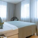 Paragon Frankfurt nad Mohanem
