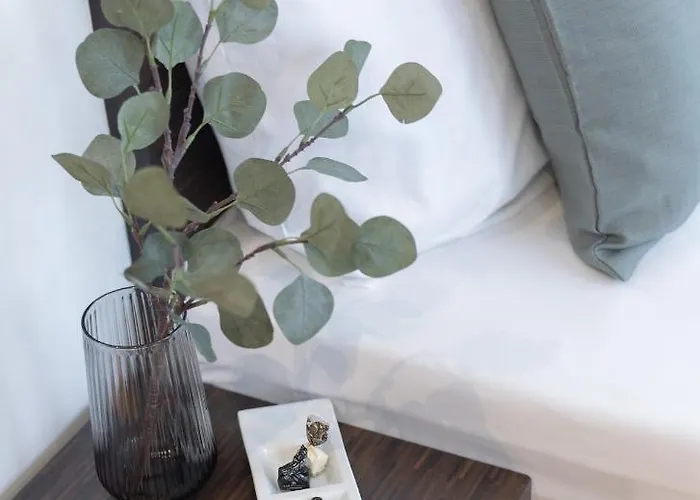 帕拉贡公寓式酒店 美因河畔法兰克福